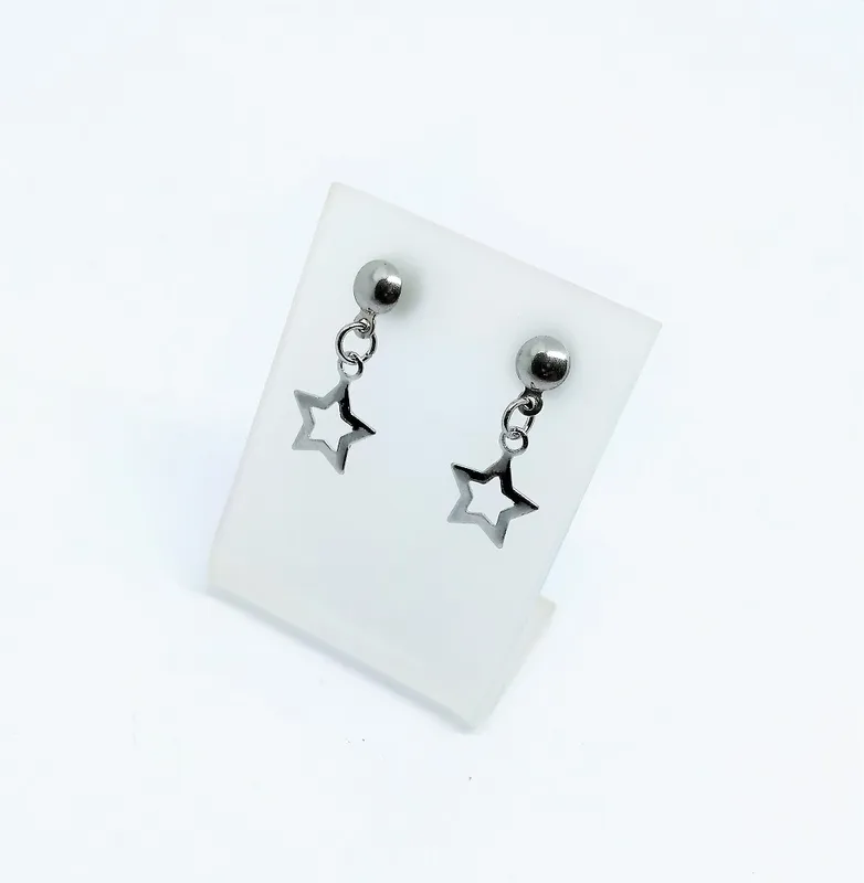 Brinco em Aço Inox 2164