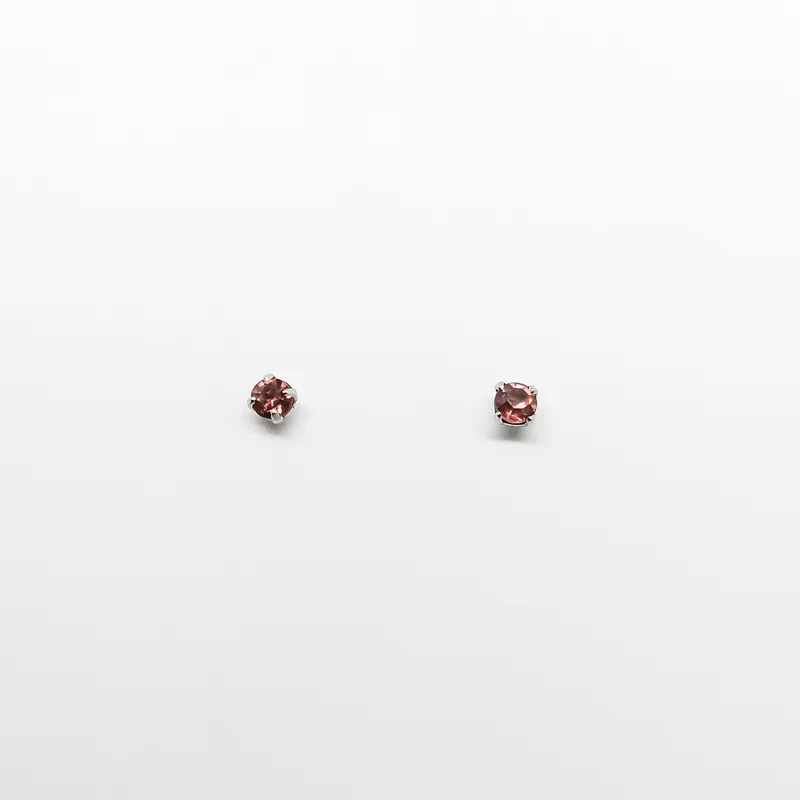 Brinco em Aço Inox 0154B