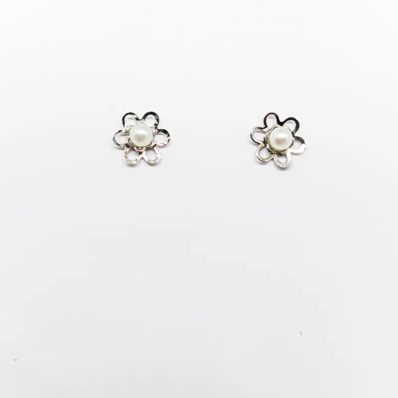 Brinco em Aço Inox 1420B