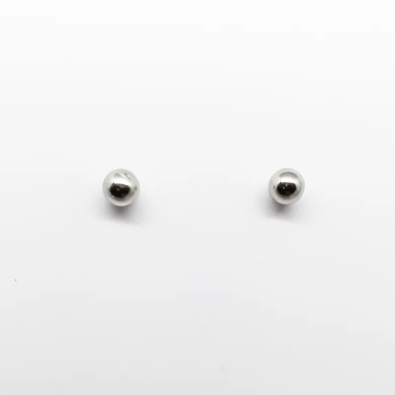 Brinco em Aço Inox 0002B