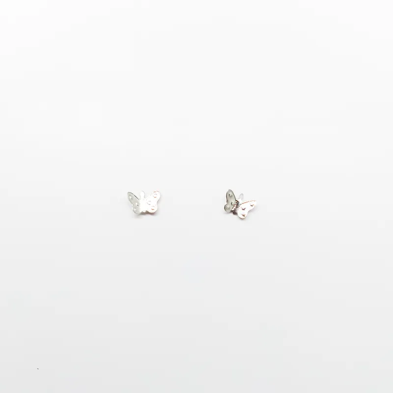 Brinco em Aço Inox 0522B