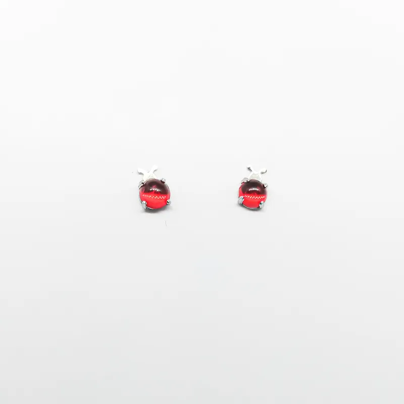 Brinco em Aço Inox 1235B