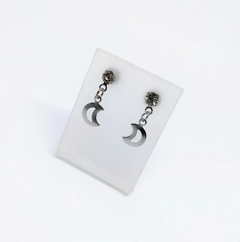 Brinco em Aço Inox 2158