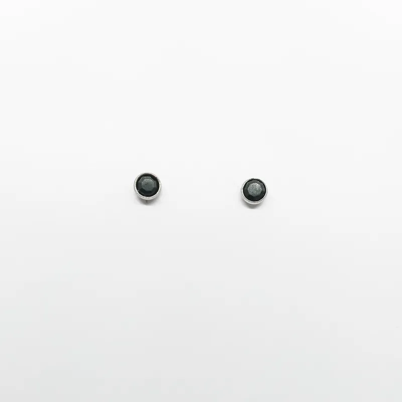 Brinco em Aço Inox 1228B Cor 4 - 6