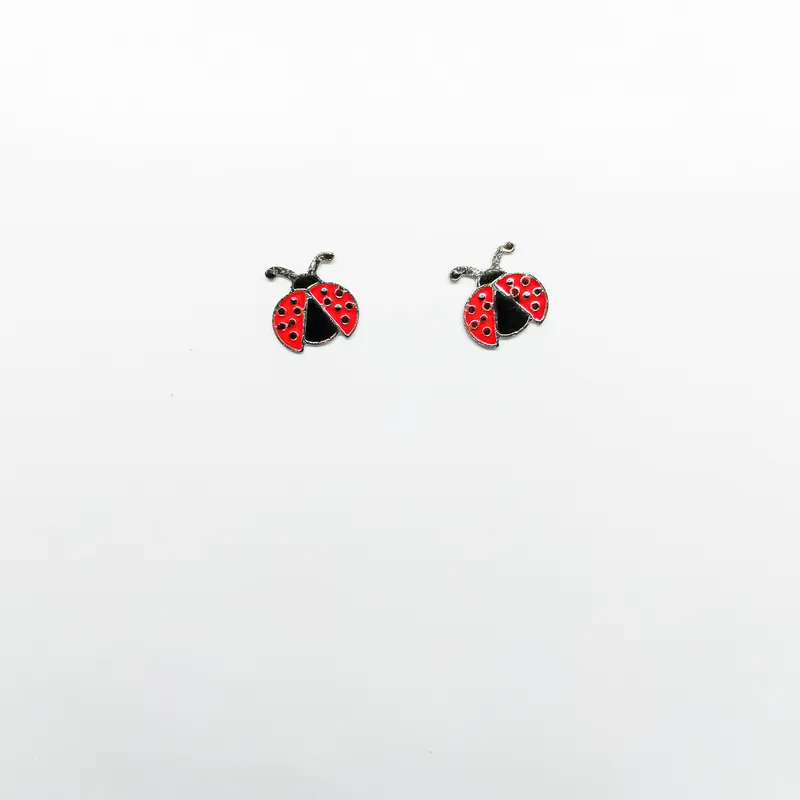 Brinco em Aço Inox 1282B