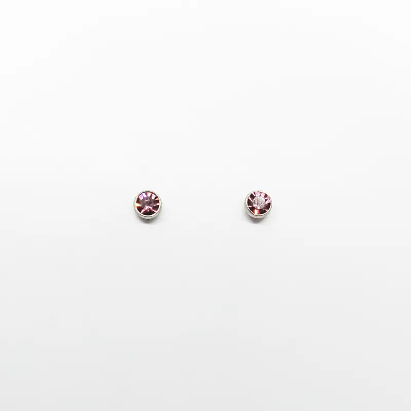 Brinco em Aço Inox 1228B