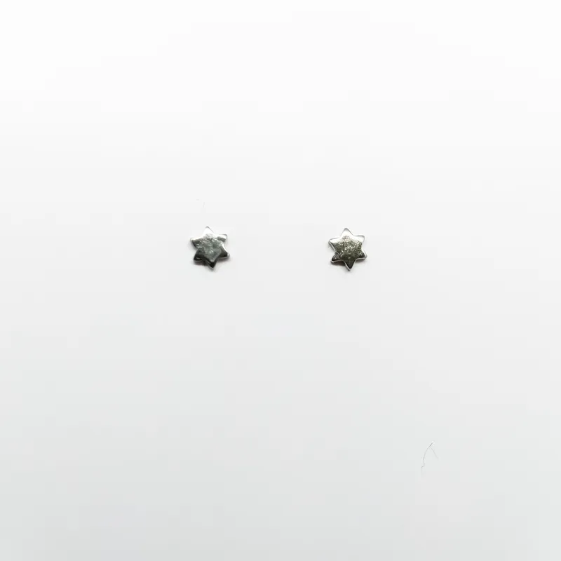 Brinco em Aço Inox 0962B