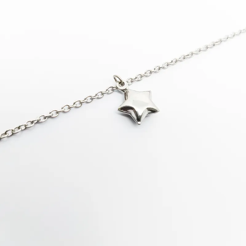 TORNOZELEIRA INOX ESTRELADE DOBRA 25CM