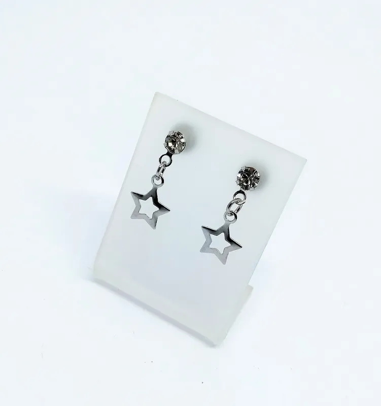 Brinco em Aço Inox 2163